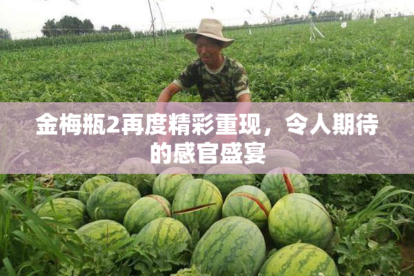 金梅瓶2再度精彩重现，令人期待的感官盛宴