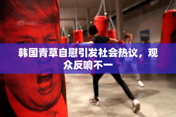 韩国青草自慰引发社会热议，观众反响不一