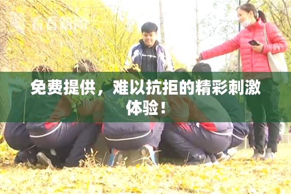 免费提供，难以抗拒的精彩刺激体验！