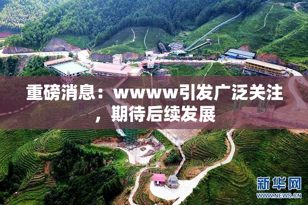 重磅消息：wwww引发广泛关注，期待后续发展