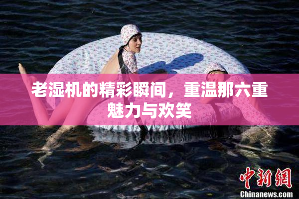 老湿机的精彩瞬间，重温那六重魅力与欢笑