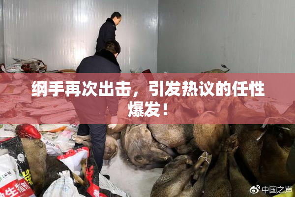 纲手再次出击，引发热议的任性爆发！