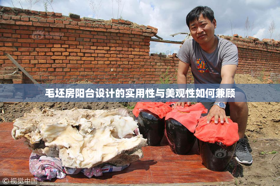 毛坯房阳台设计的实用性与美观性如何兼顾