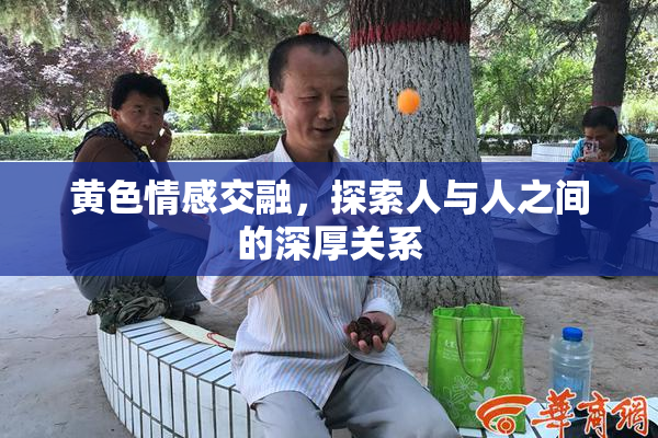 黄色情感交融，探索人与人之间的深厚关系