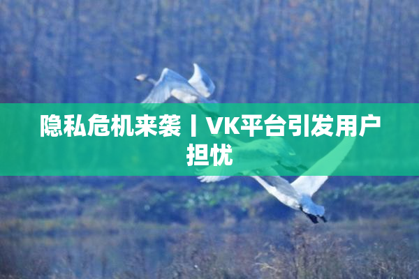 隐私危机来袭丨VK平台引发用户担忧