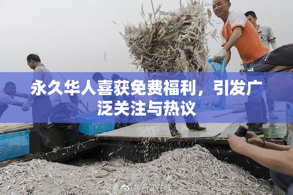 永久华人喜获免费福利，引发广泛关注与热议