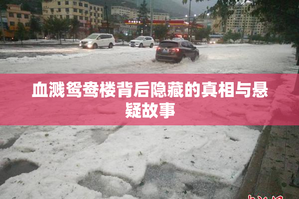 血溅鸳鸯楼背后隐藏的真相与悬疑故事