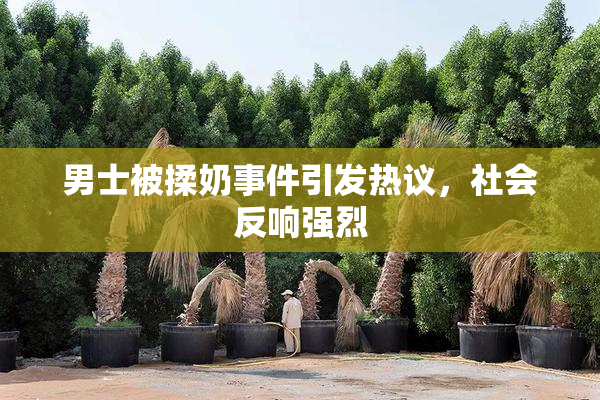 男士被揉奶事件引发热议，社会反响强烈