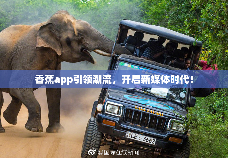 香蕉app引领潮流，开启新媒体时代！