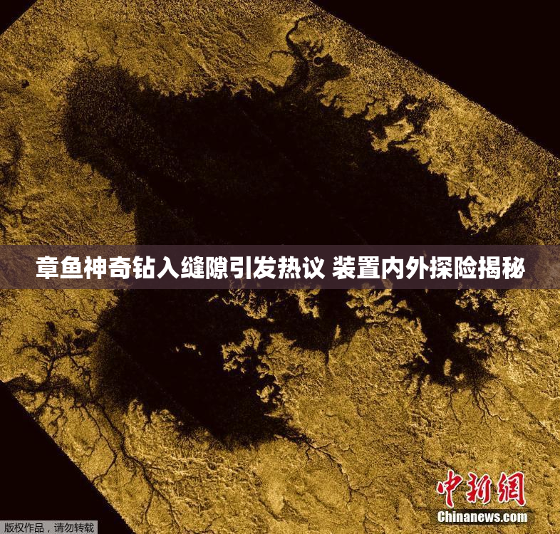 章鱼神奇钻入缝隙引发热议 装置内外探险揭秘