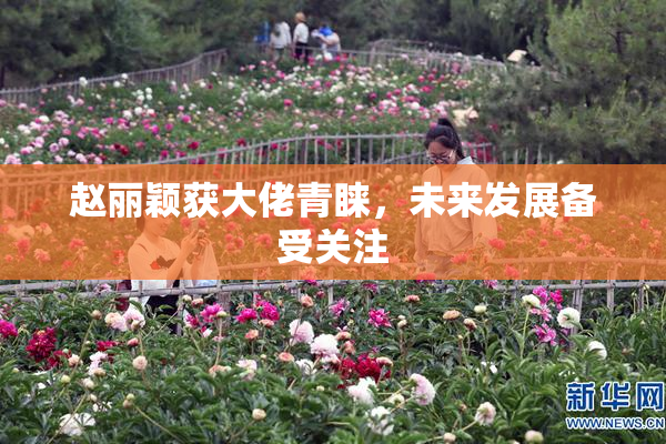 赵丽颖获大佬青睐，未来发展备受关注