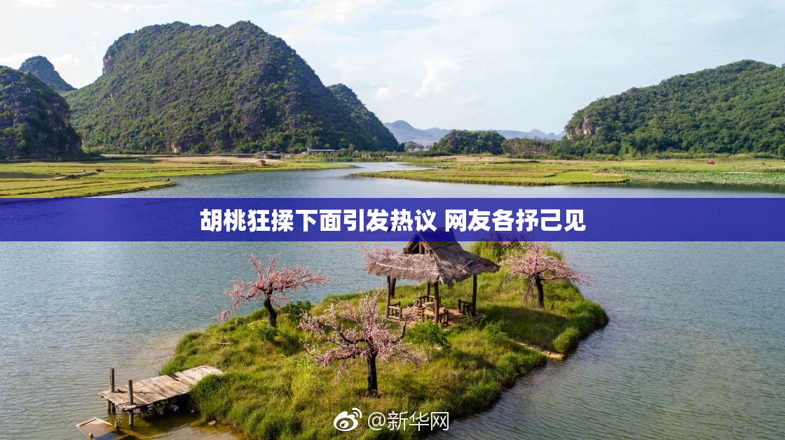 胡桃狂揉下面引发热议 网友各抒己见
