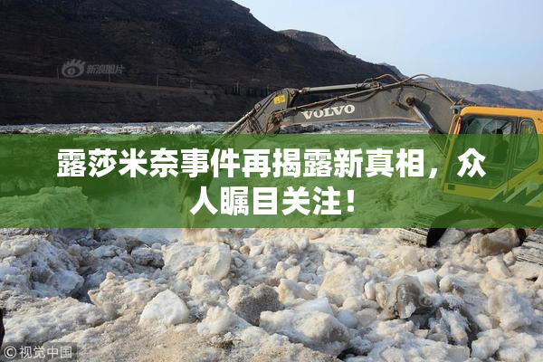 露莎米奈事件再揭露新真相，众人瞩目关注！