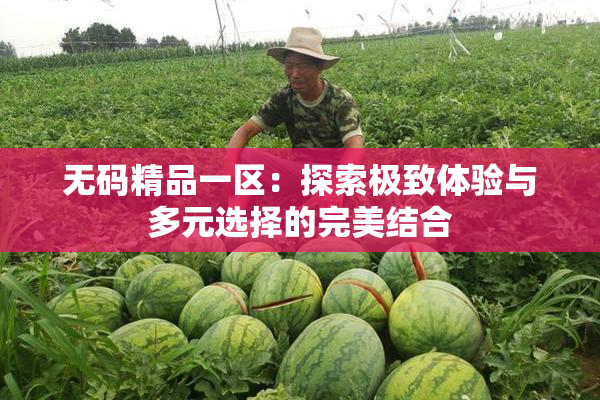 无码精品一区：探索极致体验与多元选择的完美结合