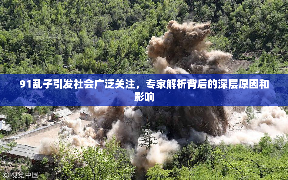 91乱子引发社会广泛关注，专家解析背后的深层原因和影响