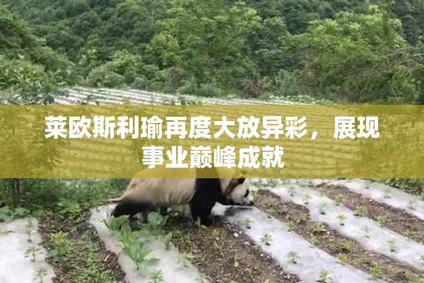 莱欧斯利瑜再度大放异彩，展现事业巅峰成就