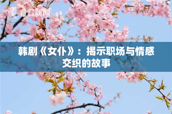 韩剧《女仆》：揭示职场与情感交织的故事
