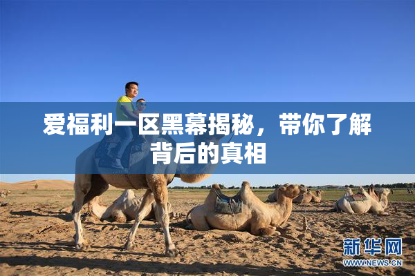 爱福利一区黑幕揭秘，带你了解背后的真相