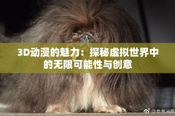 3D动漫的魅力：探秘虚拟世界中的无限可能性与创意