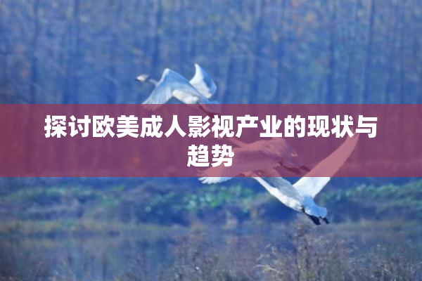 探讨欧美成人影视产业的现状与趋势