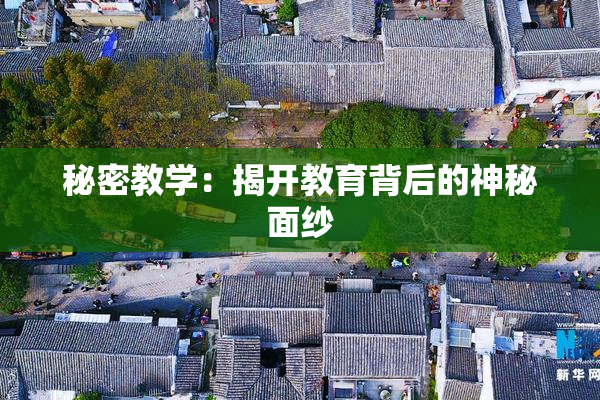 秘密教学：揭开教育背后的神秘面纱
