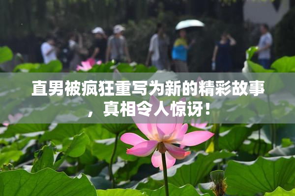 直男被疯狂重写为新的精彩故事，真相令人惊讶！