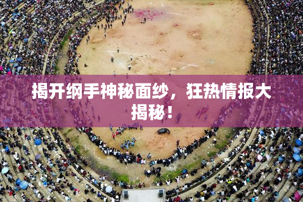 揭开纲手神秘面纱，狂热情报大揭秘！