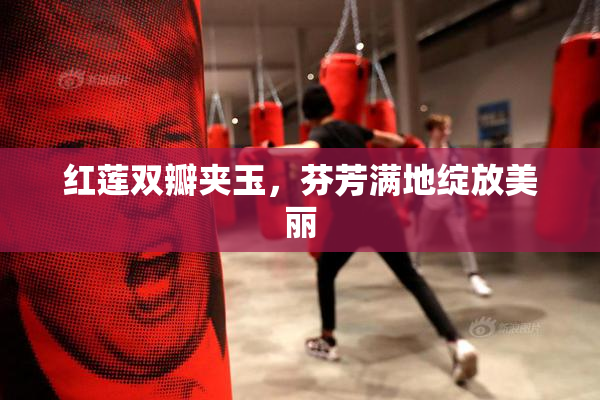 红莲双瓣夹玉，芬芳满地绽放美丽