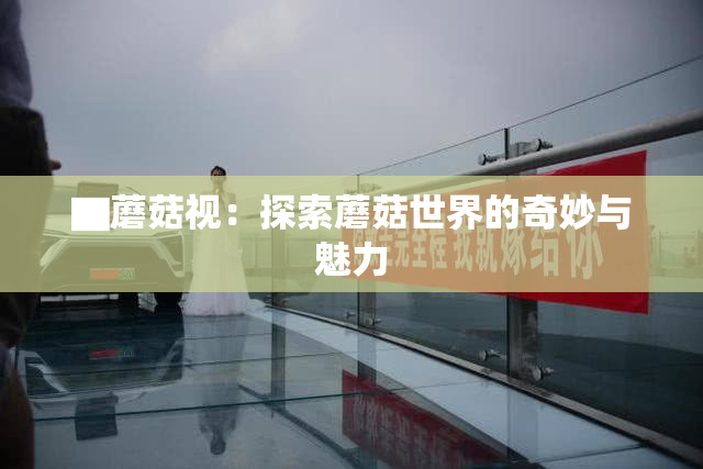▇蘑菇视：探索蘑菇世界的奇妙与魅力