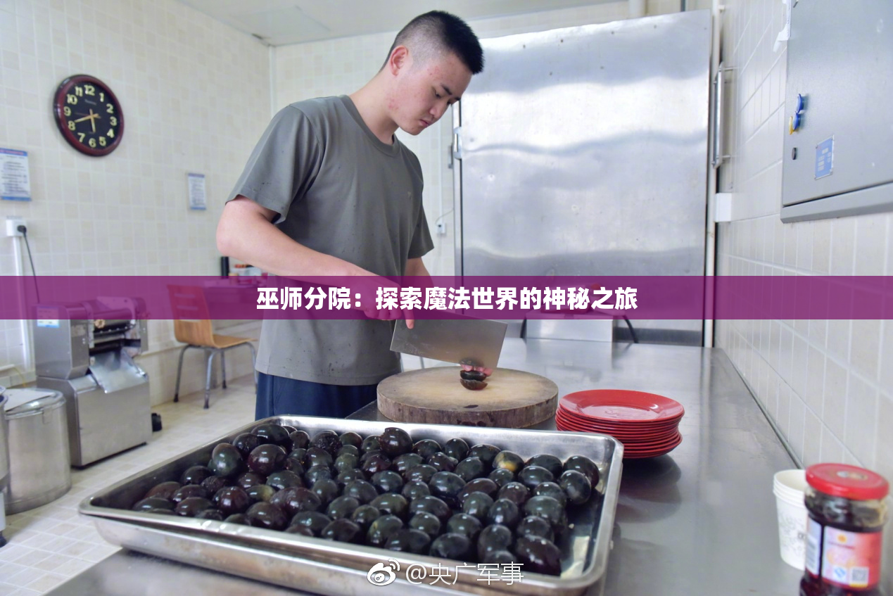 巫师分院：探索魔法世界的神秘之旅