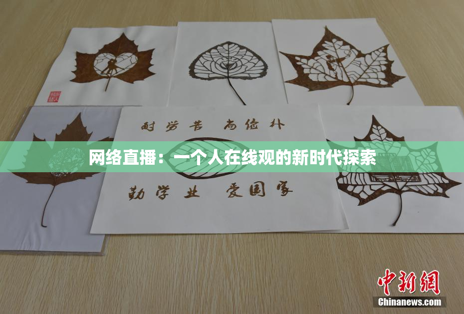 网络直播：一个人在线观的新时代探索