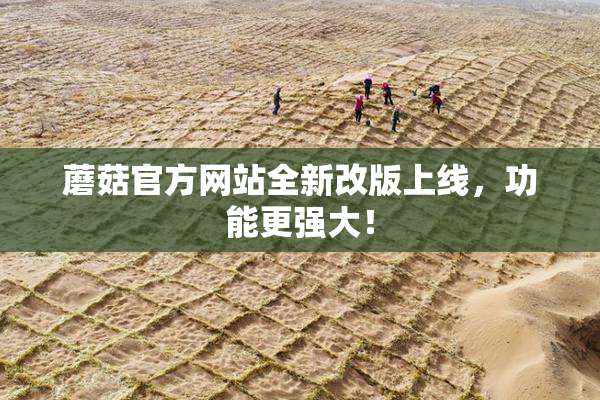 蘑菇官方网站全新改版上线，功能更强大！