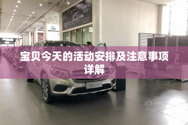 宝贝今天的活动安排及注意事项详解