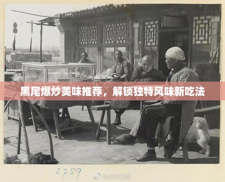 黑尾爆炒美味推荐，解锁独特风味新吃法