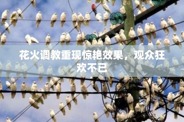 花火调教重现惊艳效果，观众狂欢不已