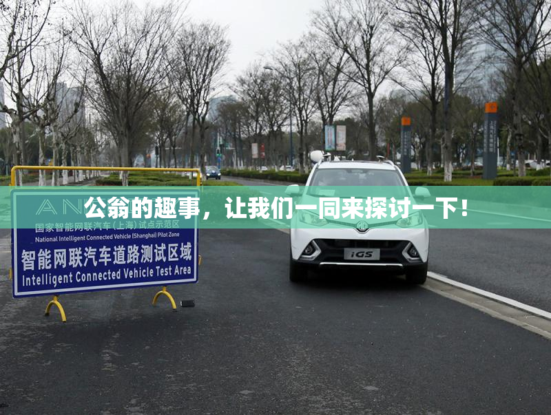 公翁的趣事，让我们一同来探讨一下！