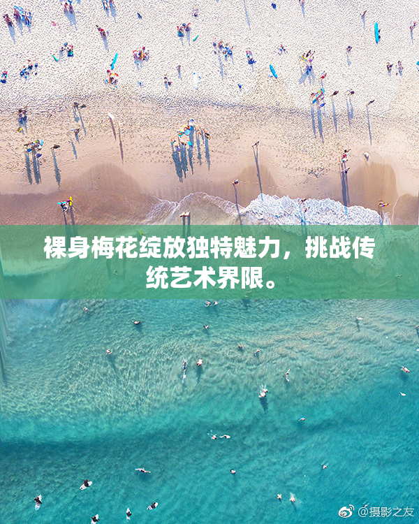 裸身梅花绽放独特魅力，挑战传统艺术界限。
