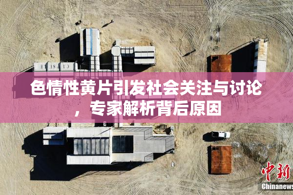 色情性黄片引发社会关注与讨论，专家解析背后原因
