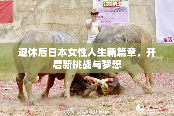 退休后日本女性人生新篇章，开启新挑战与梦想