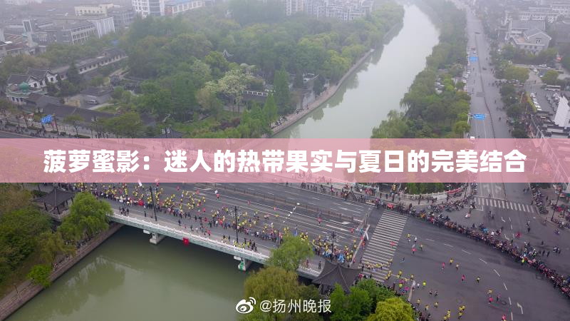 菠萝蜜影：迷人的热带果实与夏日的完美结合