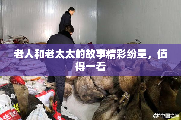 老人和老太太的故事精彩纷呈，值得一看