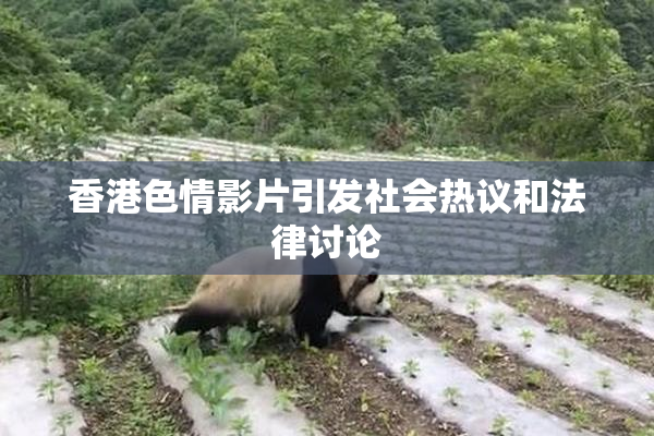 香港色情影片引发社会热议和法律讨论