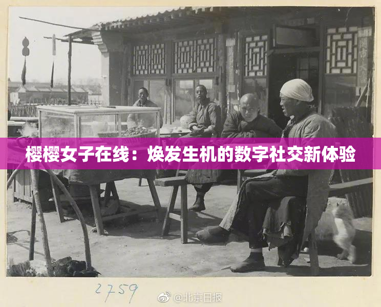 樱樱女子在线：焕发生机的数字社交新体验