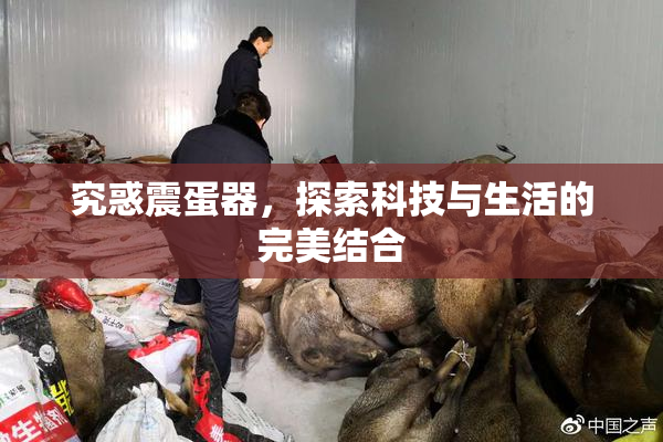 究惑震蛋器，探索科技与生活的完美结合