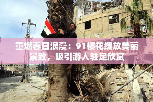 重燃春日浪漫：91樱花绽放美丽景致，吸引游人驻足欣赏