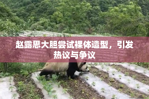 赵露思大胆尝试裸体造型，引发热议与争议