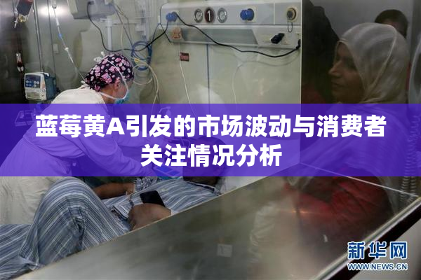 蓝莓黄A引发的市场波动与消费者关注情况分析