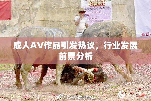 成人AV作品引发热议，行业发展前景分析