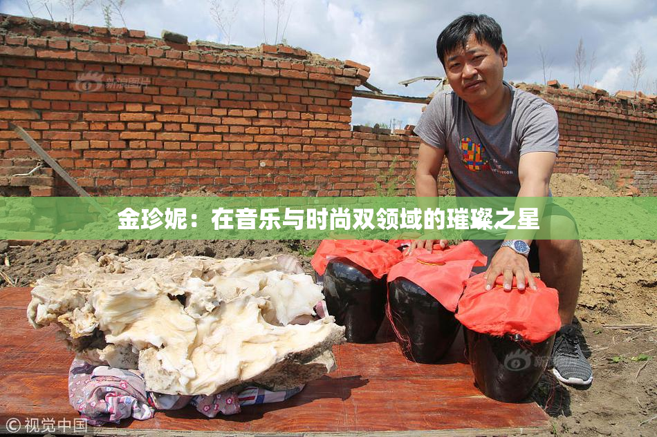 金珍妮：在音乐与时尚双领域的璀璨之星