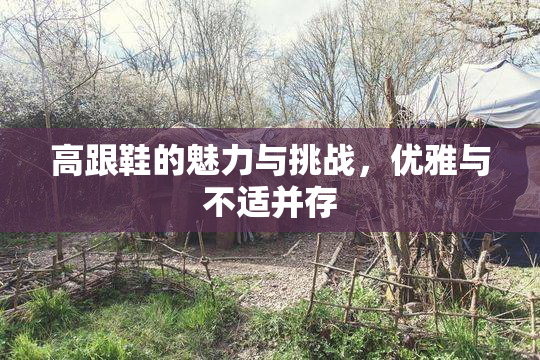 高跟鞋的魅力与挑战，优雅与不适并存